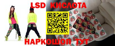 скорость Бердск