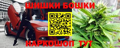 скорость Бердск